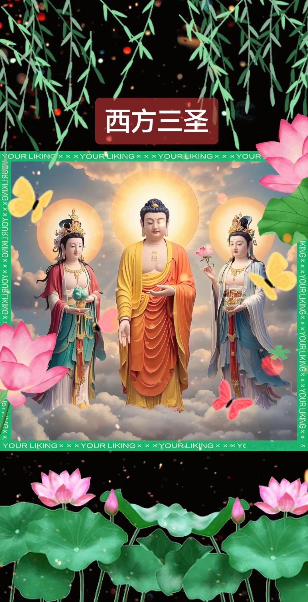 南無阿弥陀佛………🙏🙏🙏