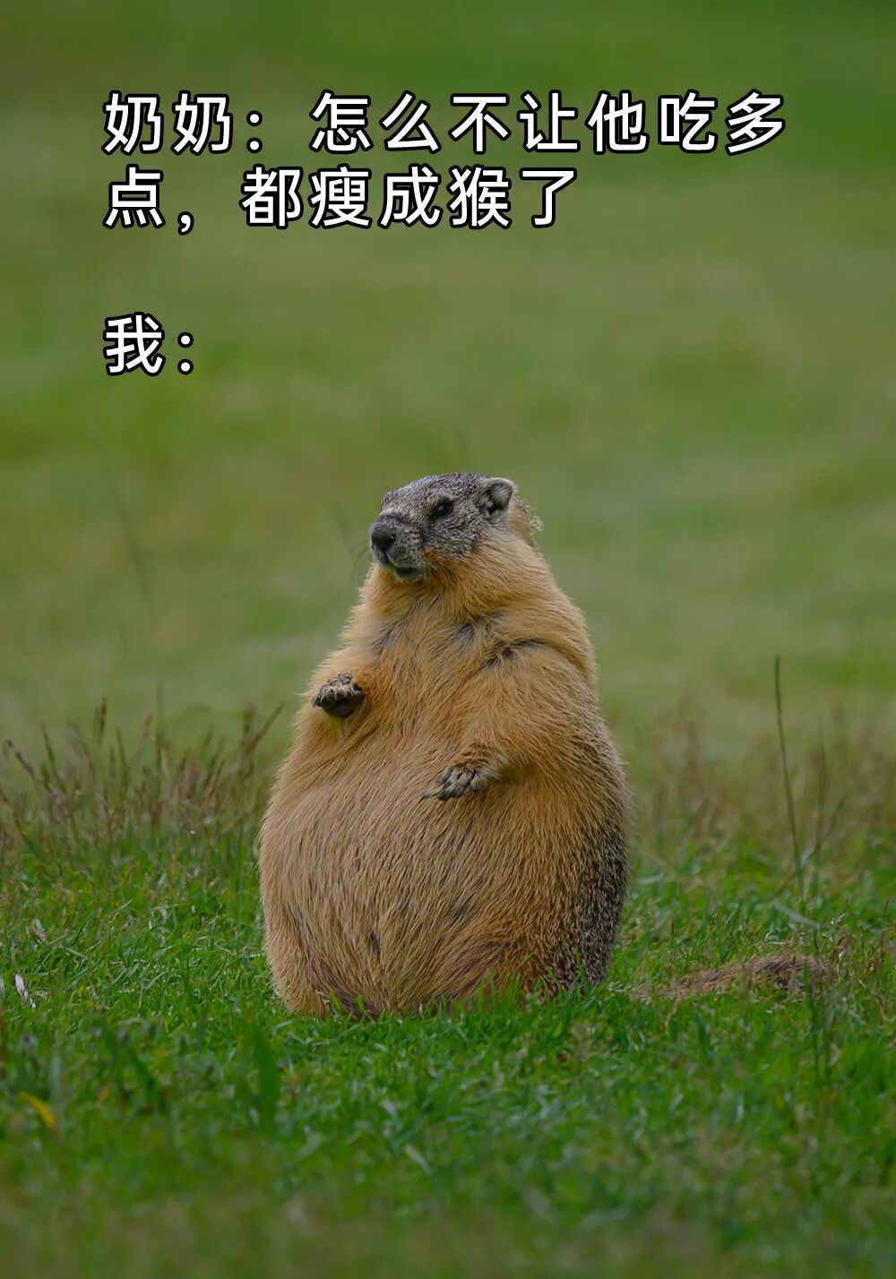 孩子咋又瘦了meme