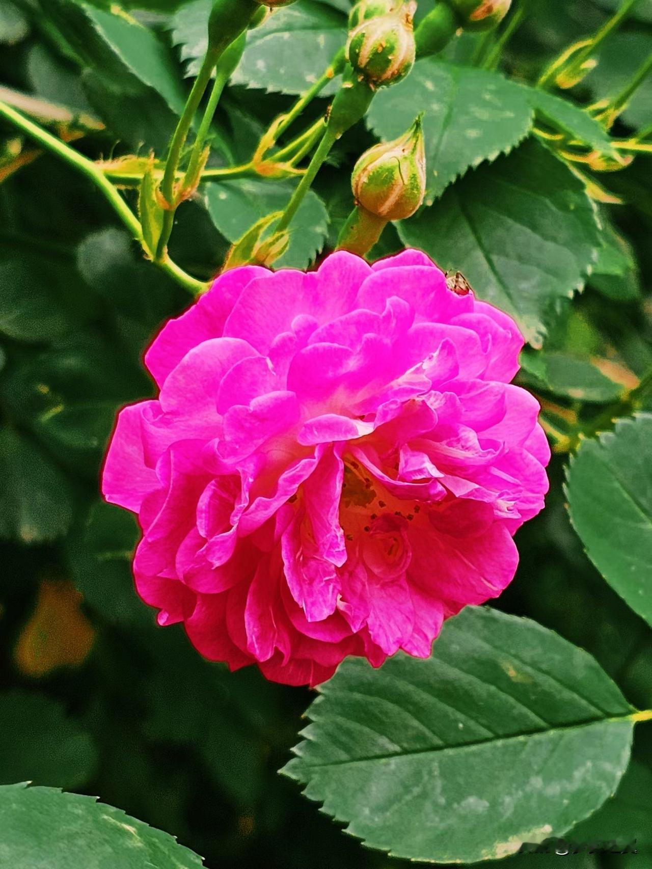 背叛过你的人,还值得原谅吗? 
【小对联】
上：可否；
下：……？