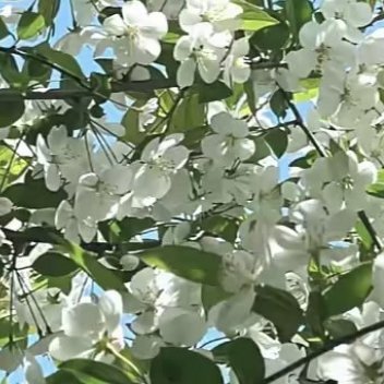 森林驿站 🌲森林驿站 🌲熊猫守护者 只有启程，才会到达理想的目的地，只有拼搏
