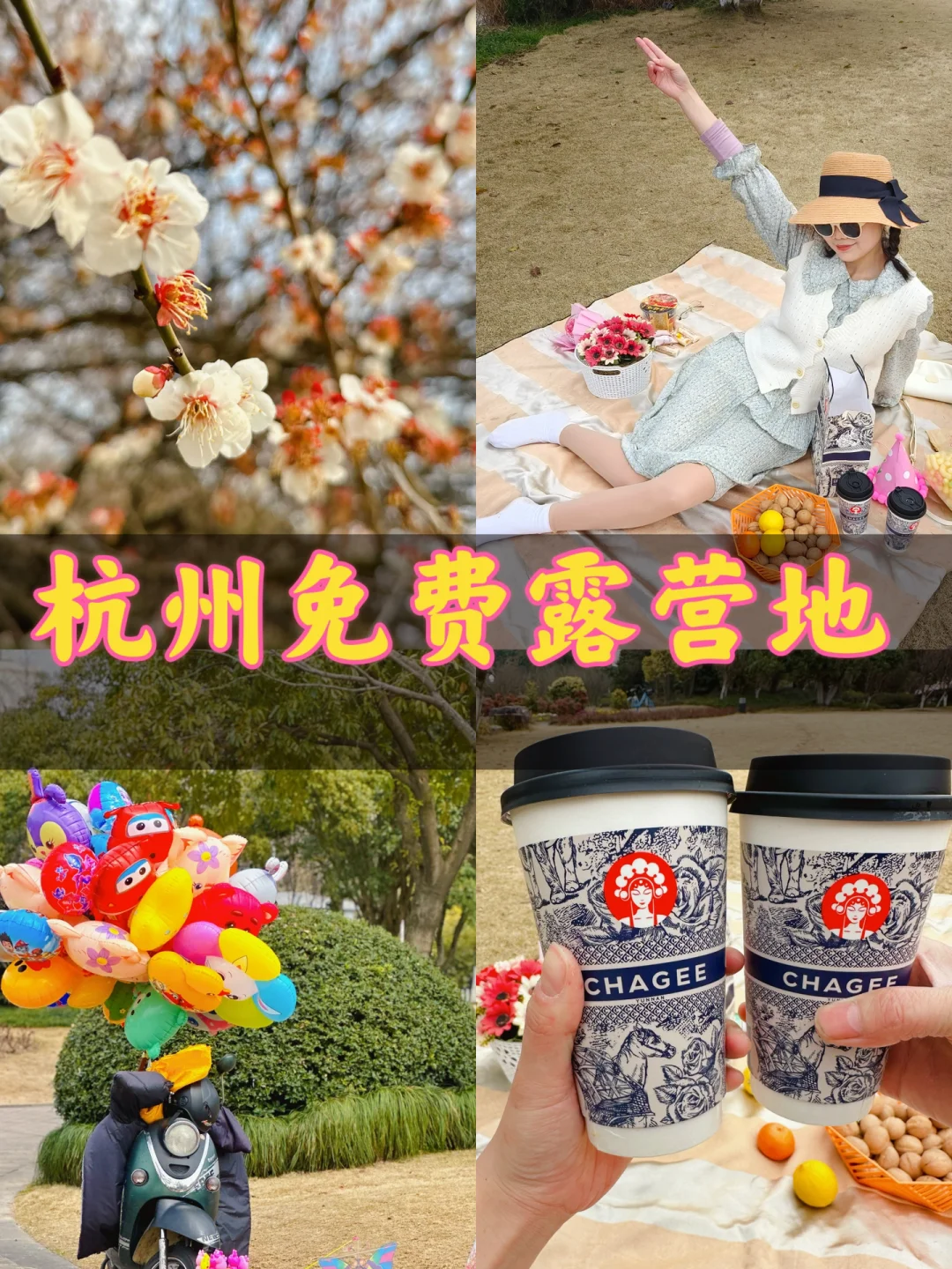 杭州免费露营地‼春天真的太适合野餐了