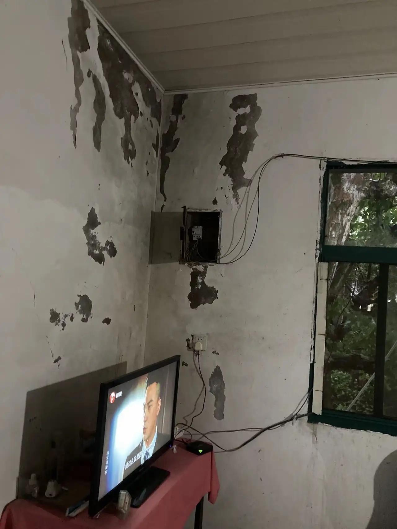 我这十几年被牙痛折磨，罪魁祸首就是智齿。

我24周岁得了空洞肺结核回农村治病，