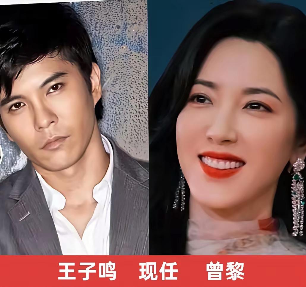 没想到大美女曾黎居然还是个颜控呢谈的男朋友真的是一个比一个帅气
不过像这种绝世美