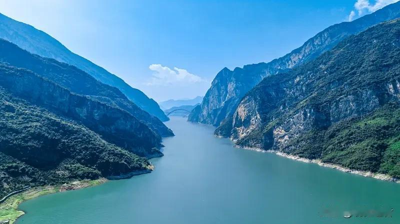 长江“患病”了，捕捞上来的鱼吃起来有异味，明显不健康，甚至鱼类数量日益减少，究竟