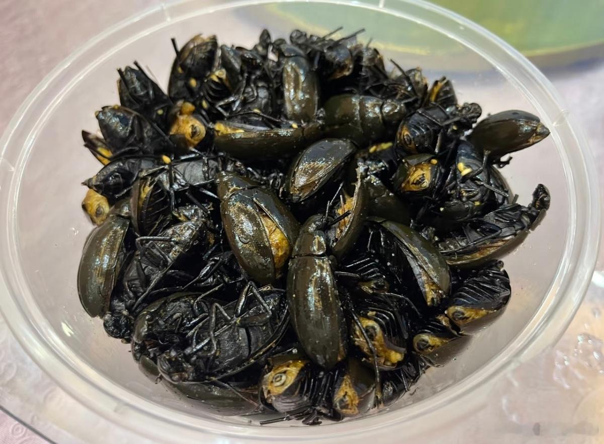 算了 你们肯定觉得广东特产没意思