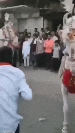 马：就你最爱抢风头 ​​​