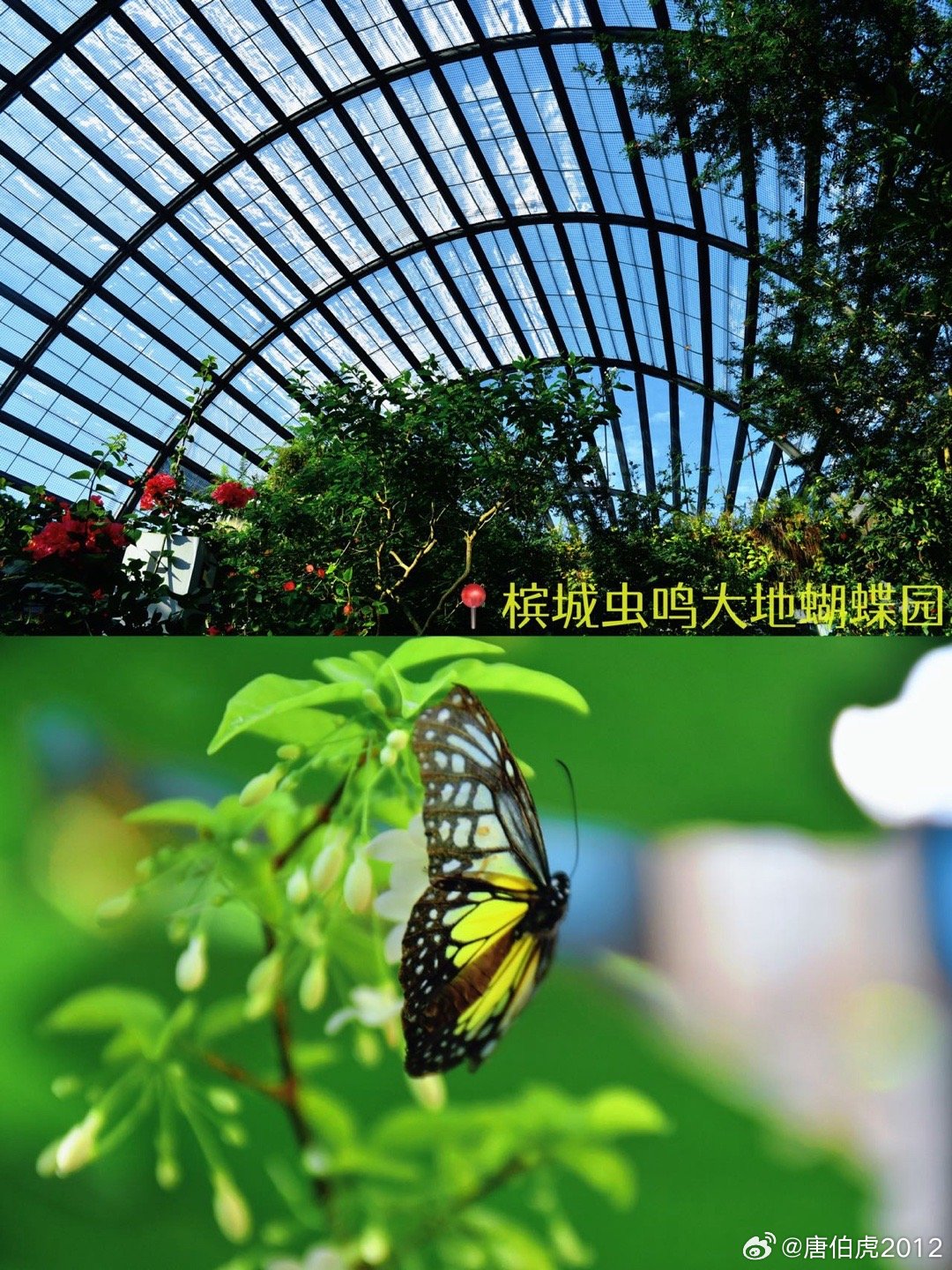 暑期和家人一起来槟城度假，槟城的气质很适合全家人悠哉悠哉地出行，可以算得上是真的