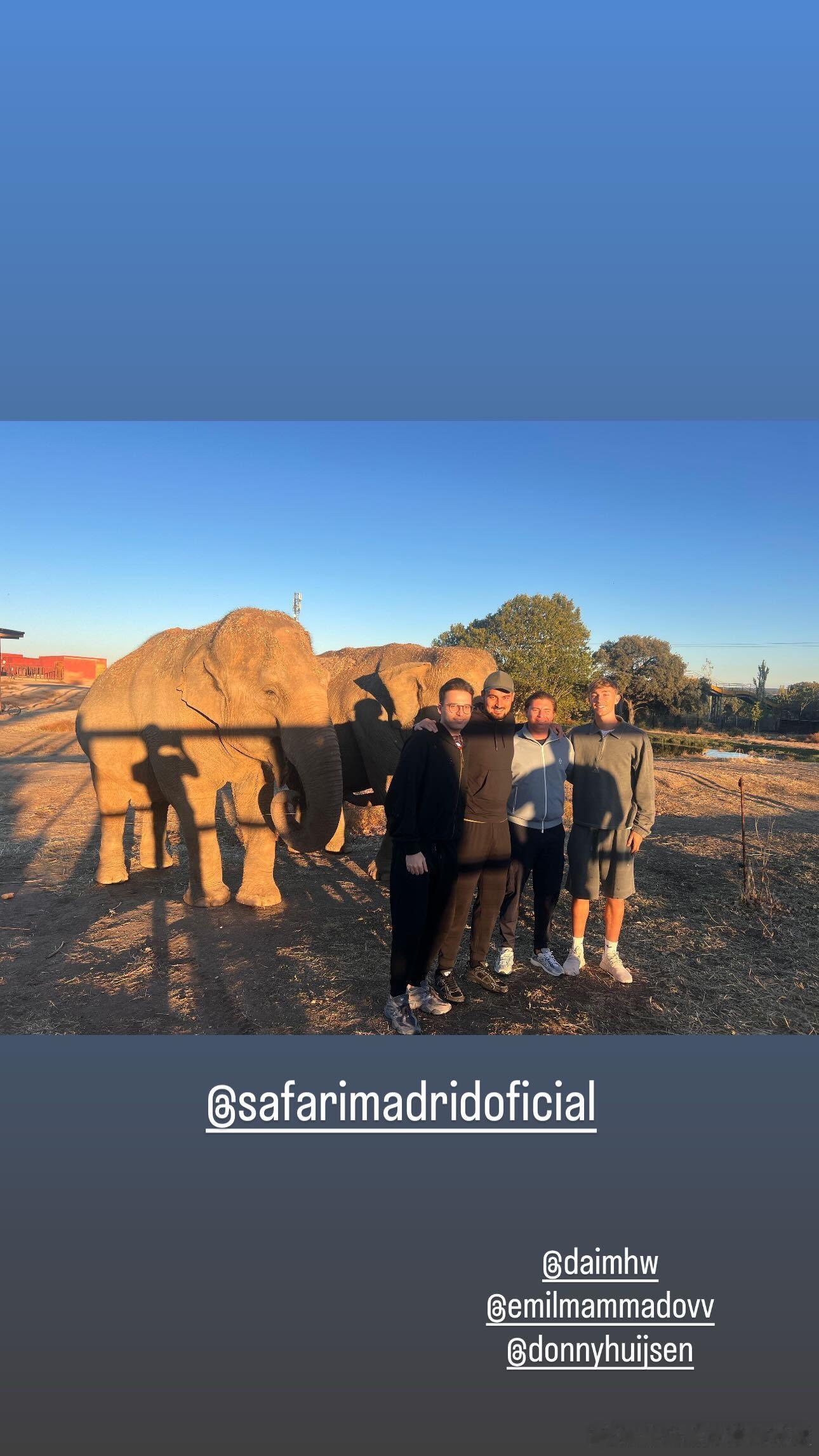 赫伊森： ​​​