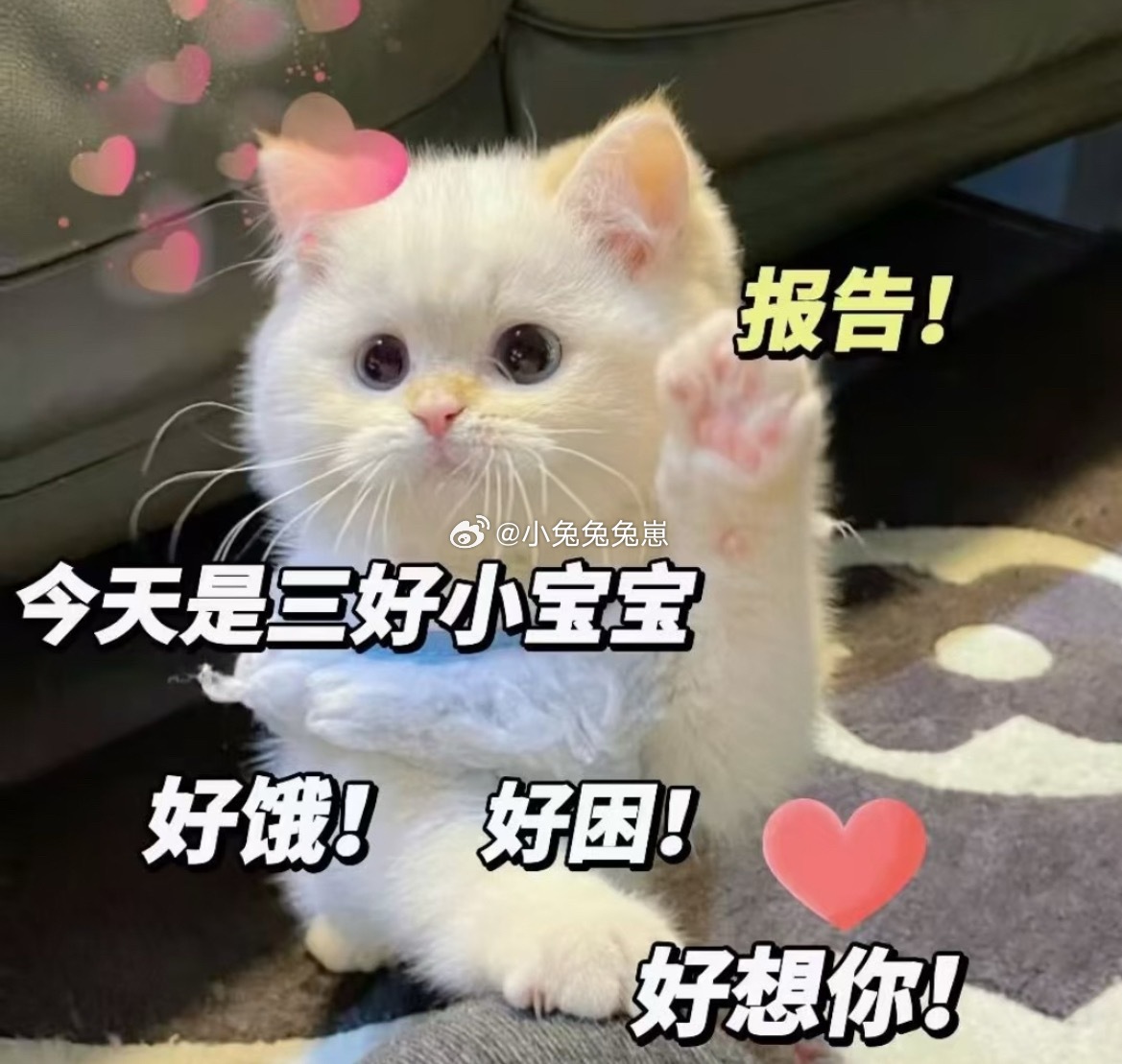 今天试了🐺给我买的唇釉，打视频的时候一直嘟嘟着嘴🐺：嘴怎么啦，是不是肿啦🐰