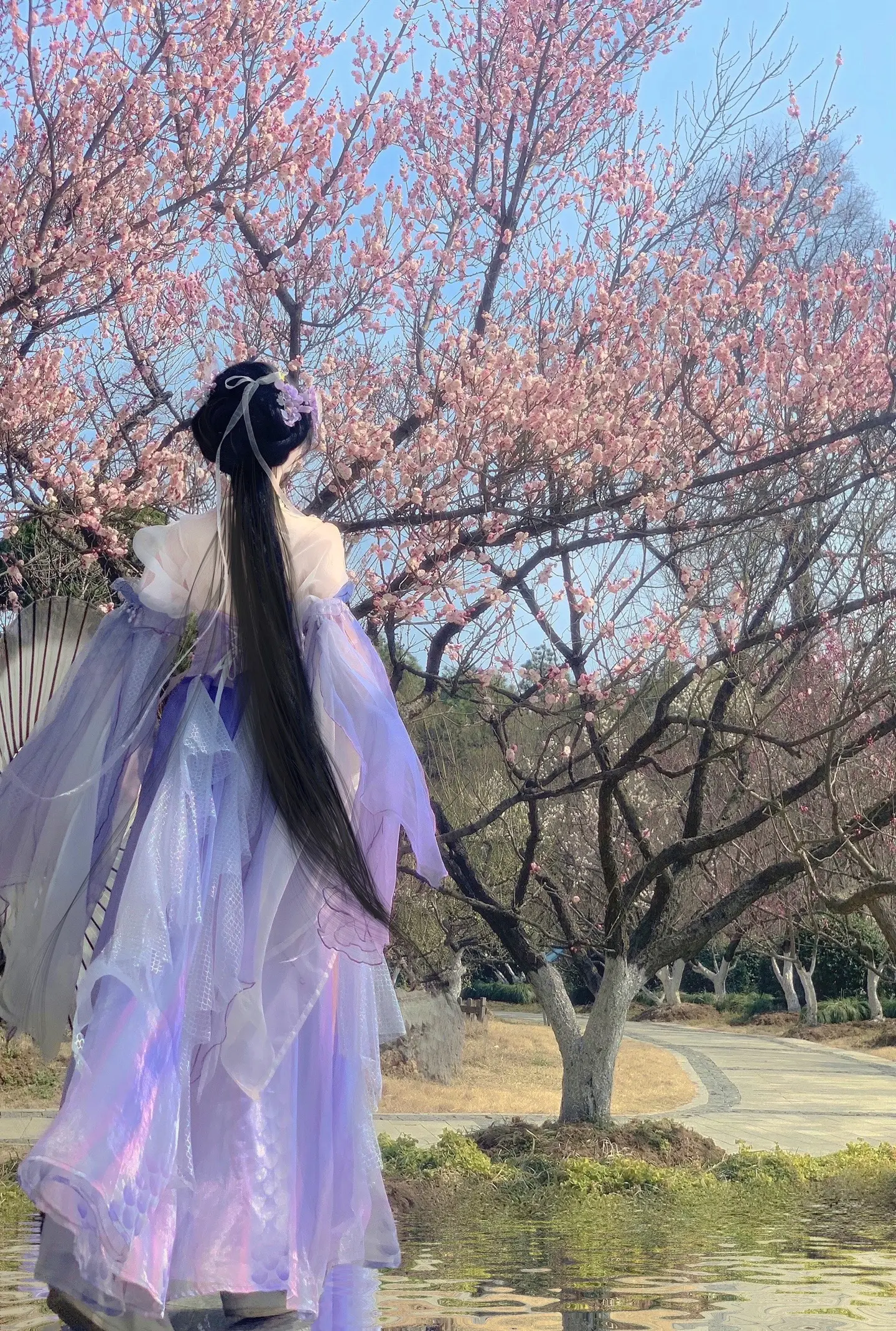 “拒霜有信 归梦无凭.”