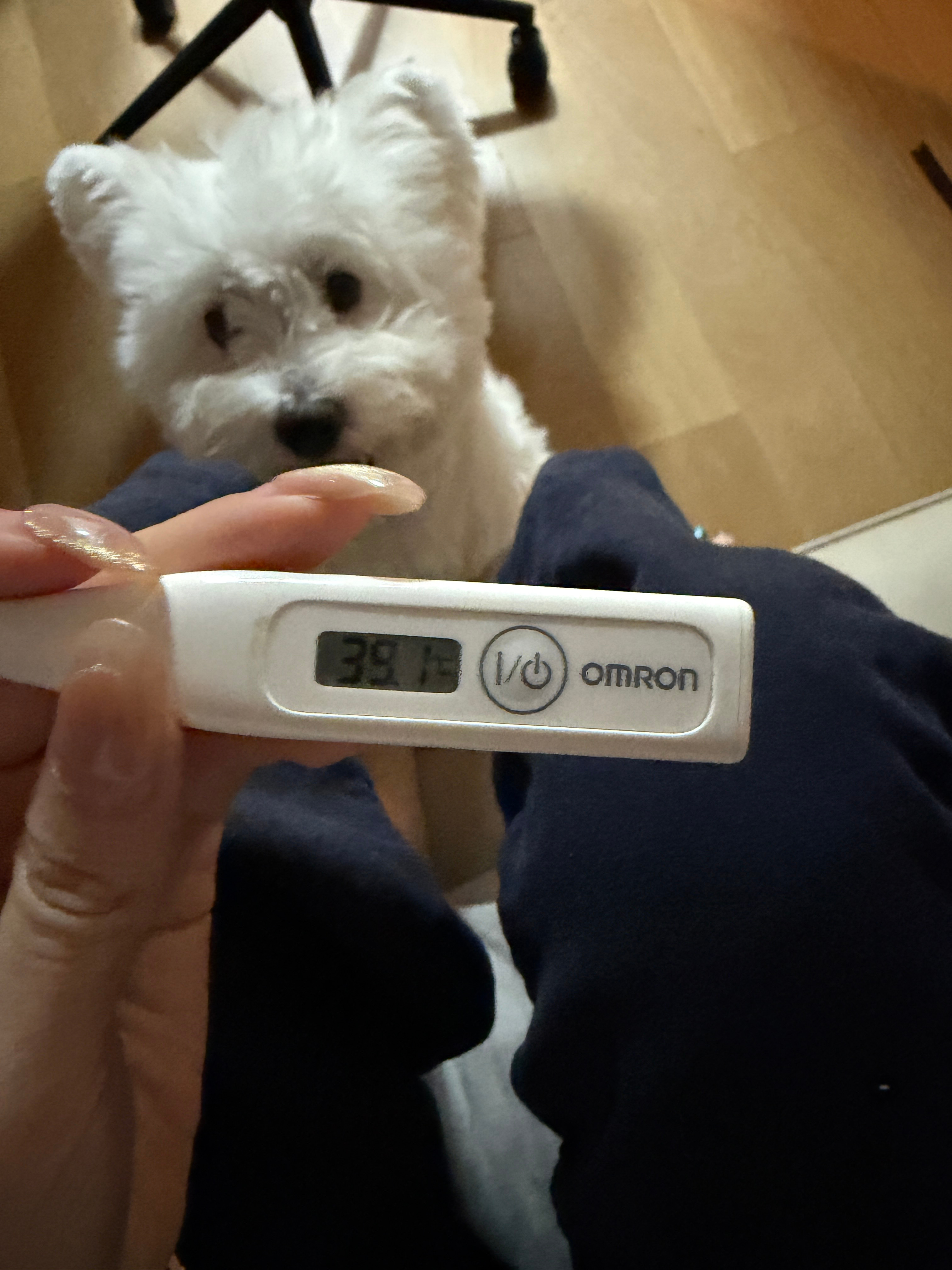 烧了两天要昏迷了 等我回来 