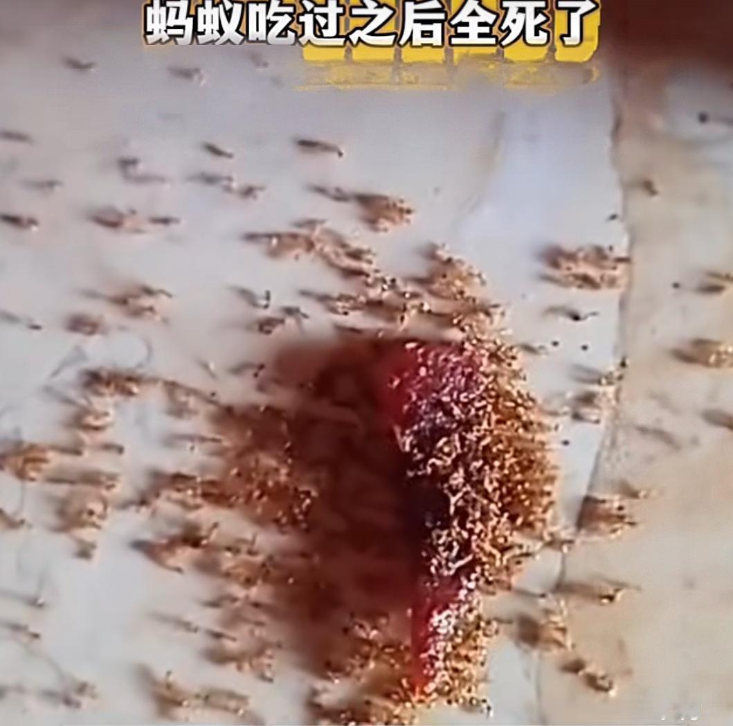 我的天呐，还有什么是安全的？
近日，海南发生的一件事，让我们后怕，有一个小孩手里
