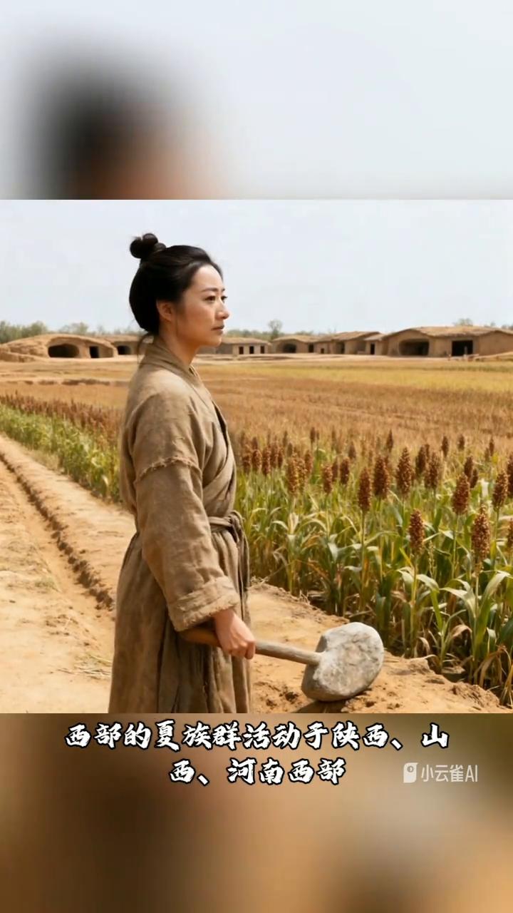 "夷夏东西说"。
上古华夏大地上分布着东西两大核心族群集团。
·东部的夷族群分布