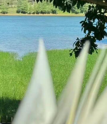 每日一善 在每一个黎明破晓，每一个黄昏降临之际，坚守那份善良的初心，让 每日一善