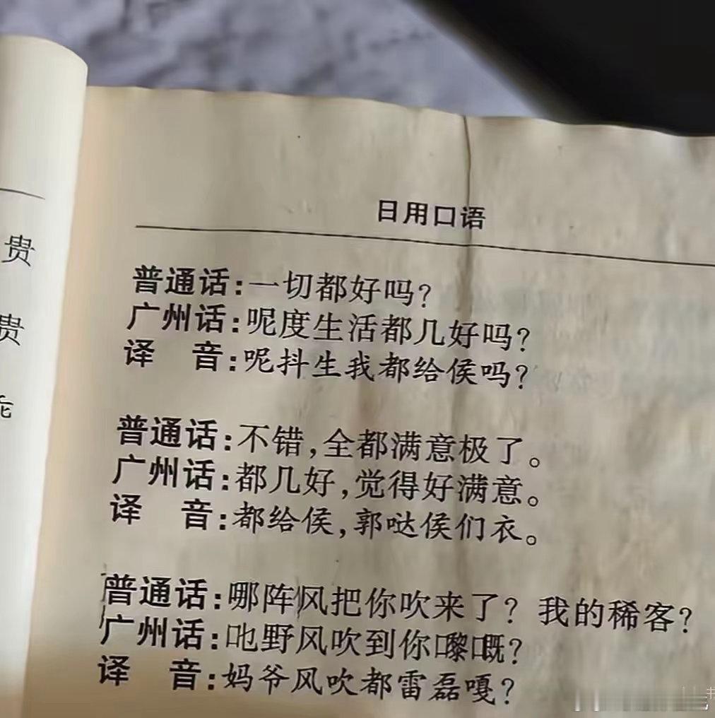 有意思。粤语当英语标音。学坏师你哏蠢，揸兜都没人庳啊。渠好精，有咩依郁，走到飞起