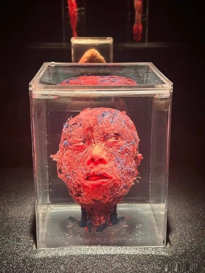 “视尸求是”……牢A详解糖霜苹果