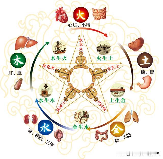 肝不足泪多，心不足汗多，脾不足痰多，肺不足涕多，肾不足唾少，送你10个中成药，帮