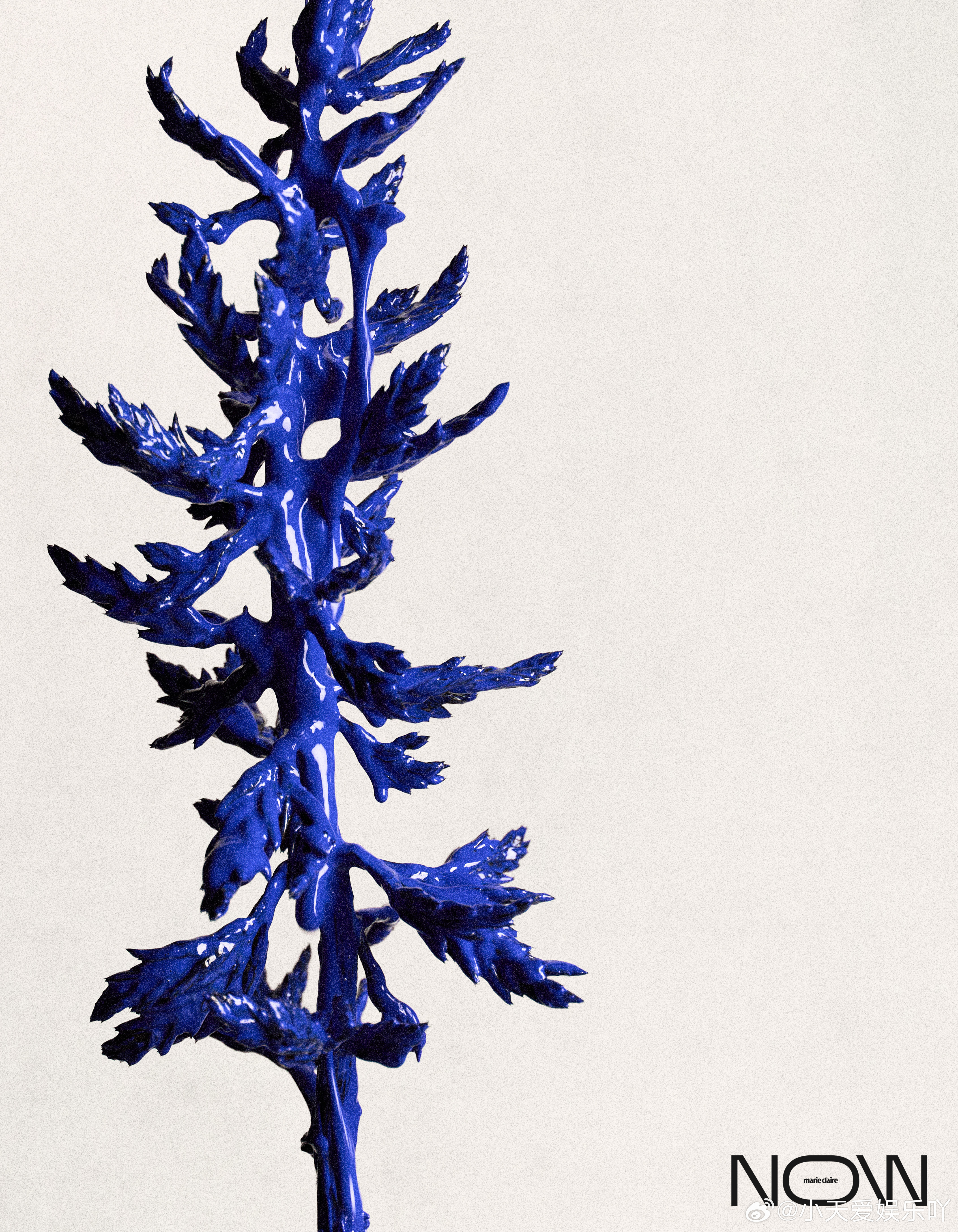 陈都灵说小火慢炖是演员应有的态度陈都灵说没有只看恶评陈都灵面对评论的态度太值得学