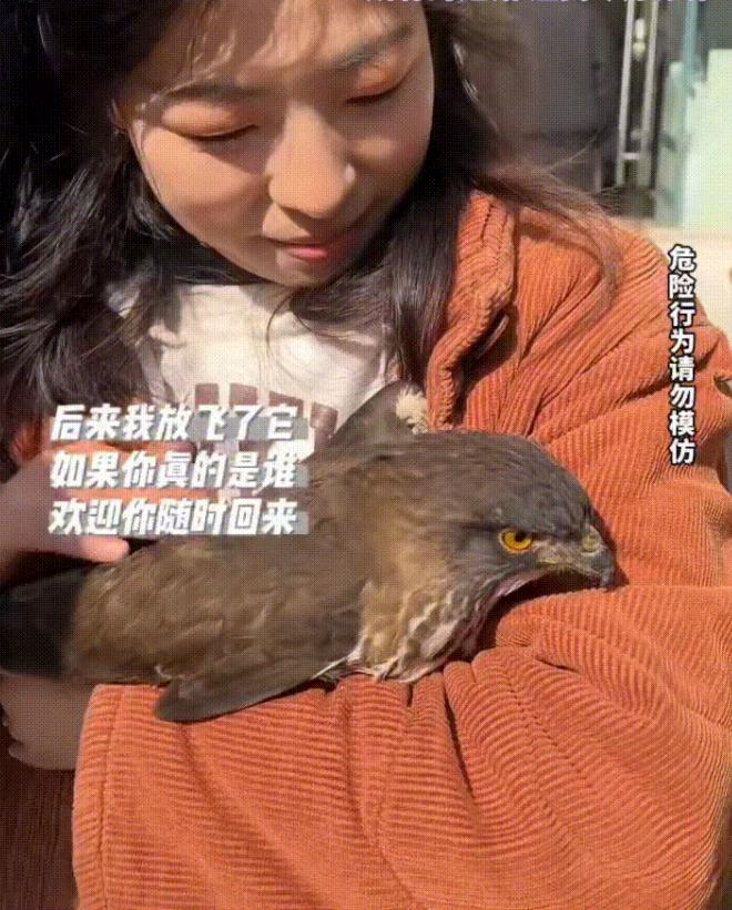 女子正在外边晒太阳，—只大鸟突然飞进了她的怀里，本来以为受伤了，可全身检查了一下