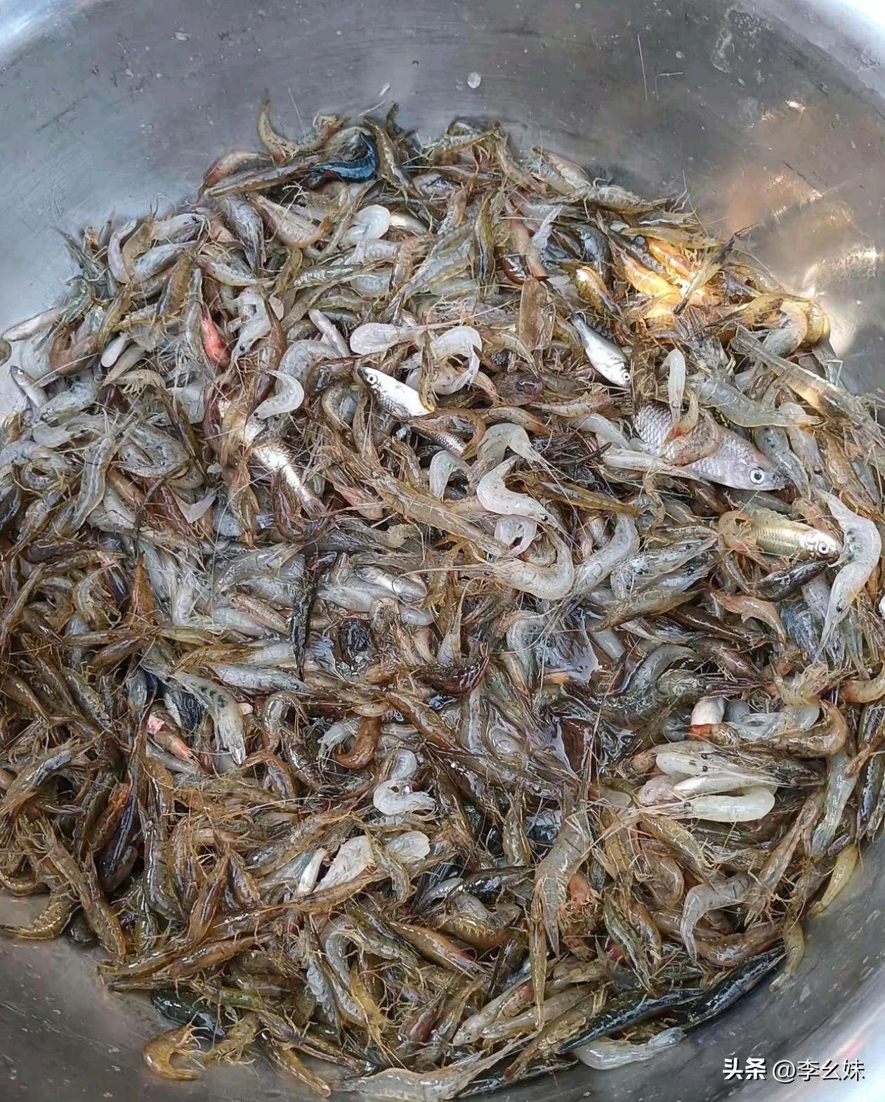 有认识这种虾的朋友吗？这虾拿去卖好卖吗？