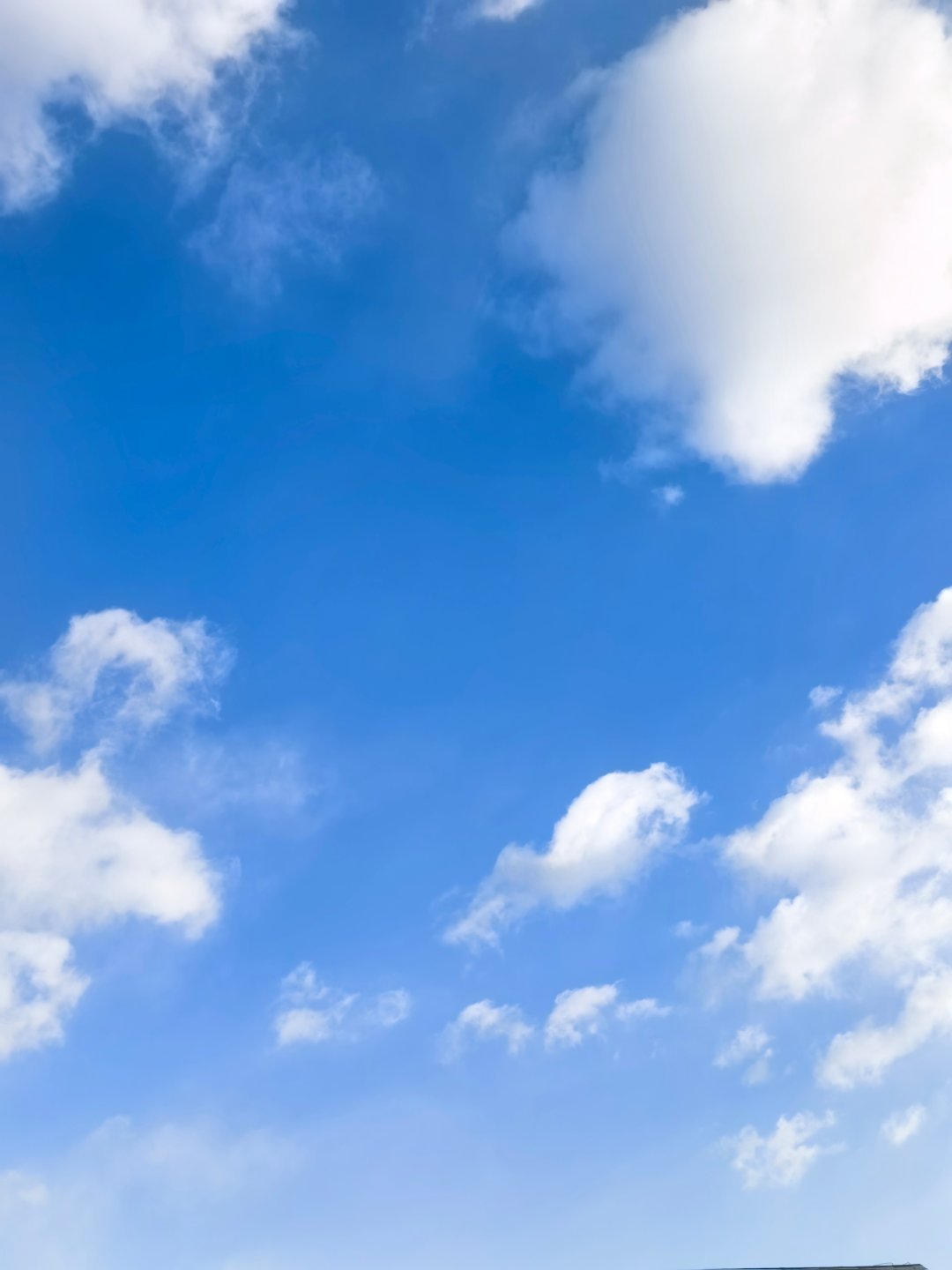 日常经过昨天的一场大风。今天外面的天空蔚蓝。还有漂亮的白云☁️。就是降温有点冷。