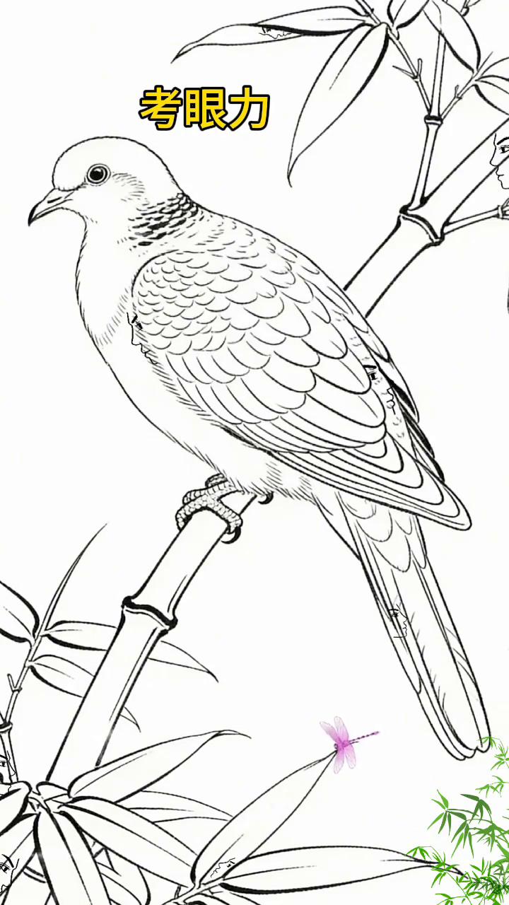 考眼力，看图找人脸。
眼力测试，提升专注力。请仔细看图，图中隐藏有多张人脸，你能