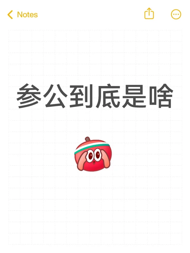 参公是什么：从理论和现实说起