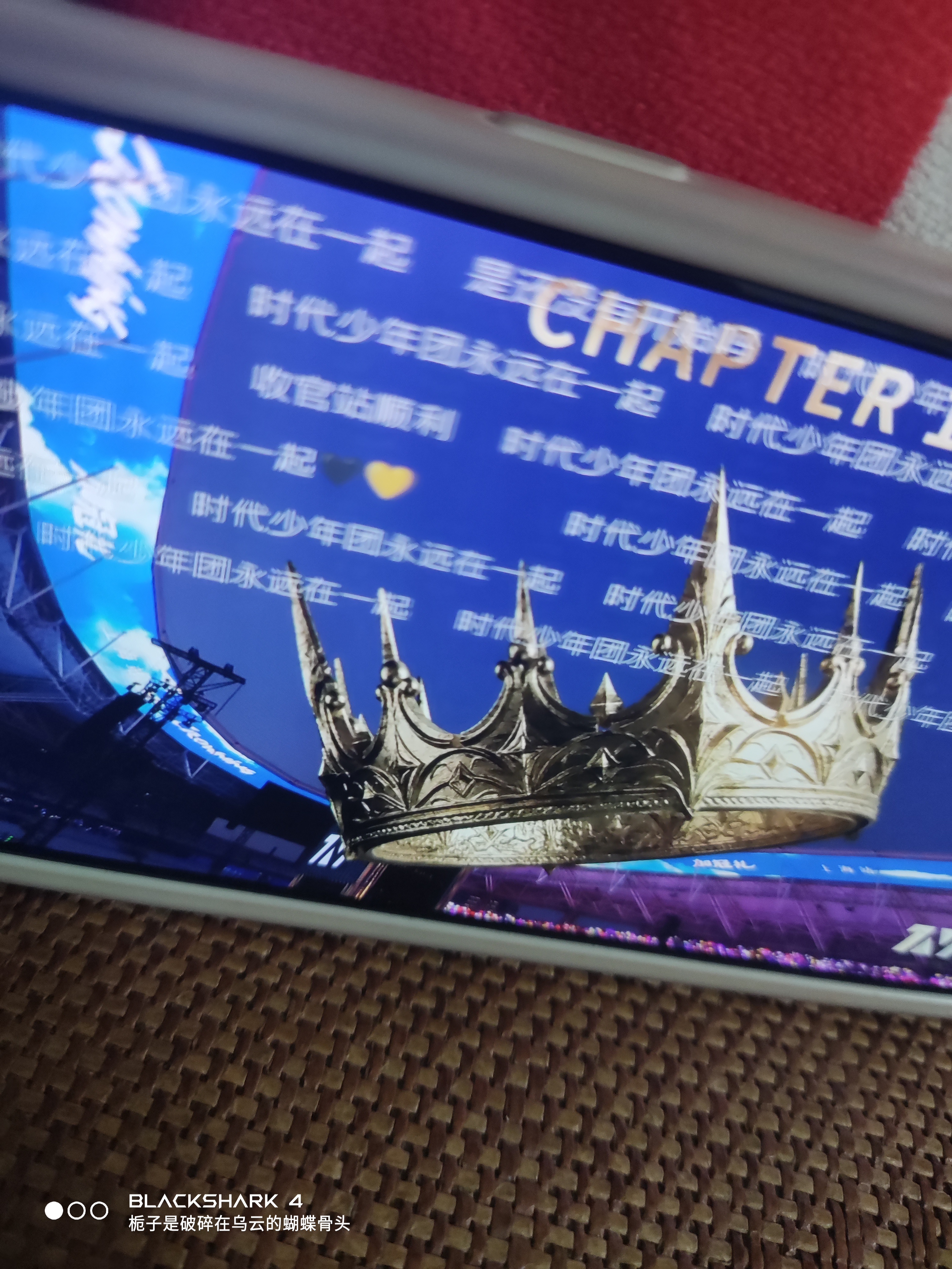 “不同蔷薇，你可是明艳从不凋零的玫瑰”“此生如若不是你，何愁青丝配白衣”“繁星之
