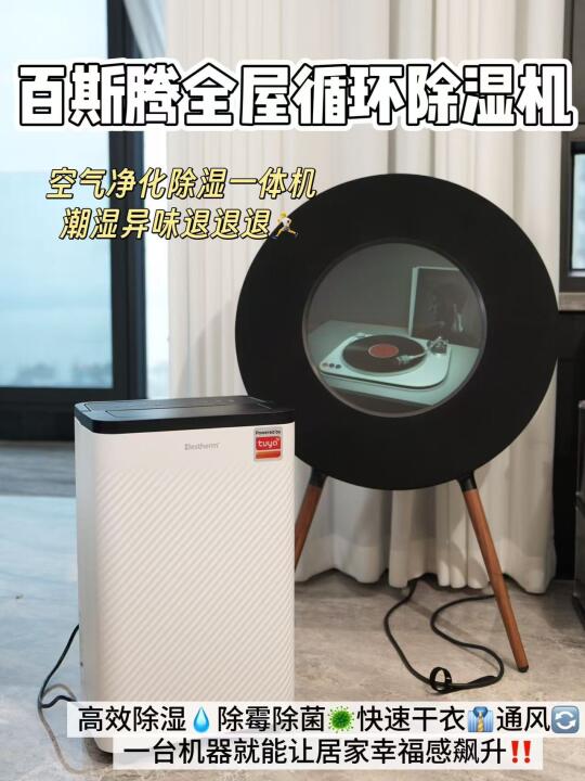 直呼相见恨晚！简直就是把阳光搬进家里🏡