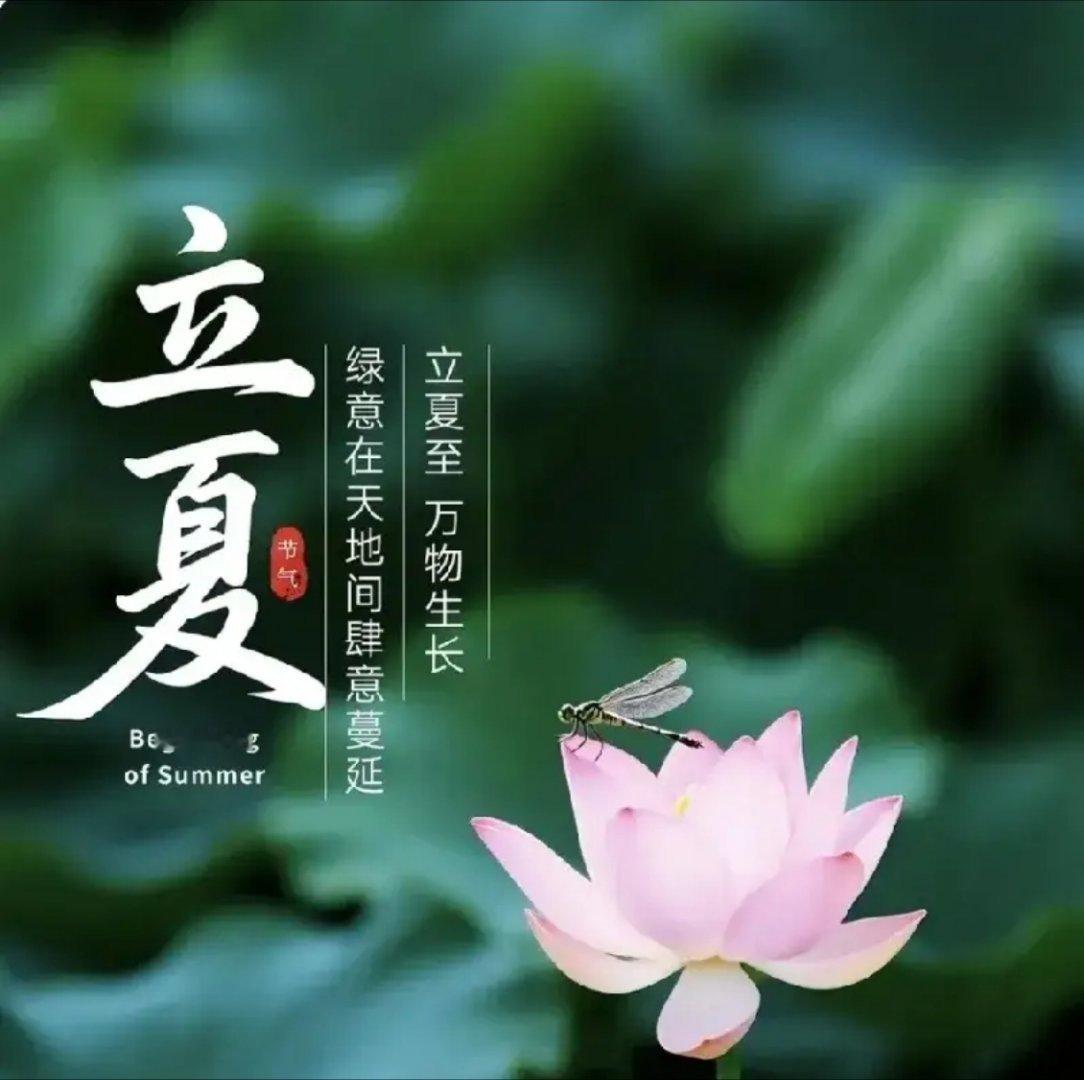 【今日立夏】🌿☀️5月5日，夏天正式营业。春日的温柔还在枝头， 夏天的热烈已爬