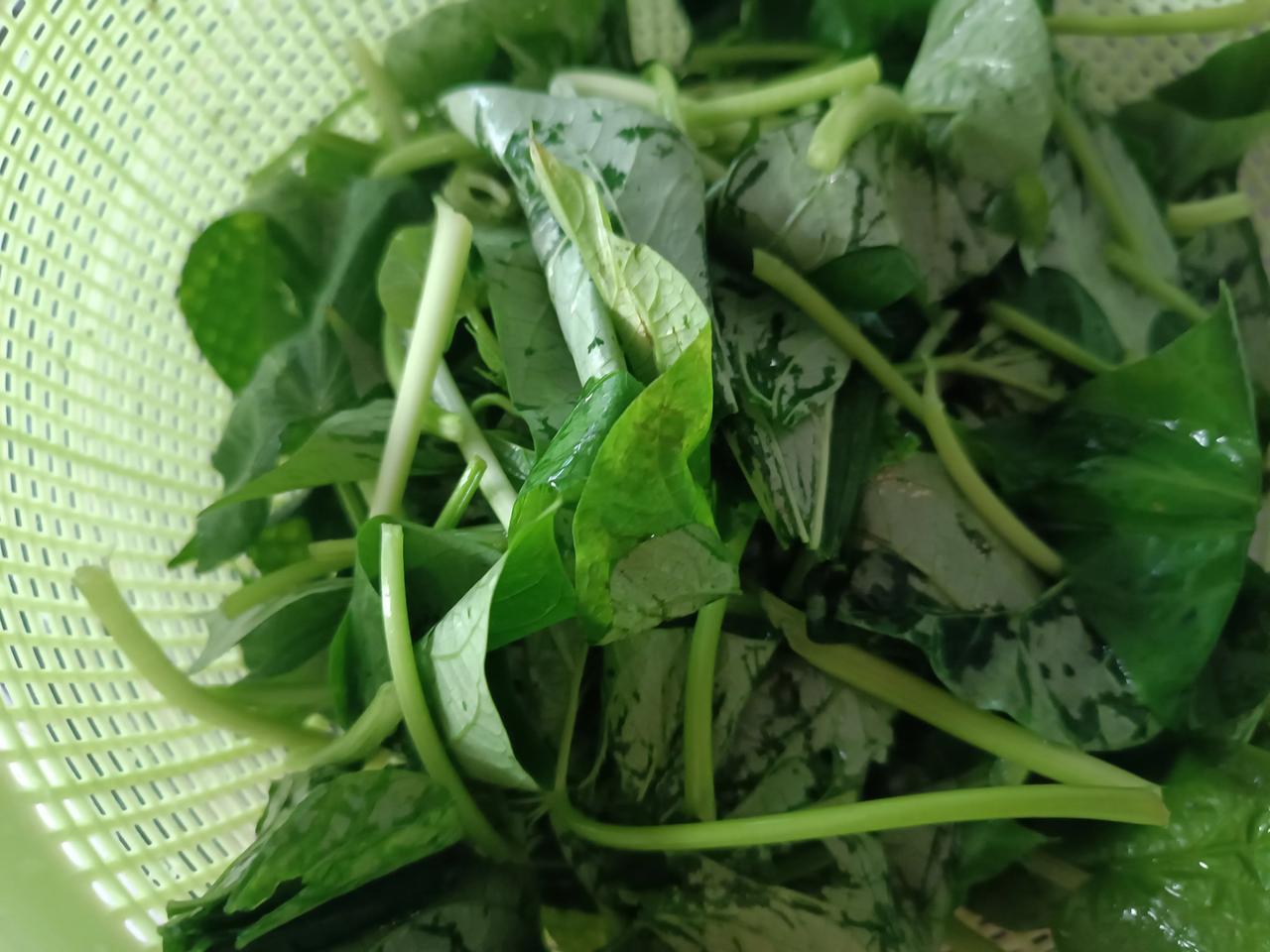 你喜欢吃红薯叶和红薯茎吗?
你喜欢吃红薯叶和红薯茎吗
我十分喜欢，绿叶蔬菜
红薯