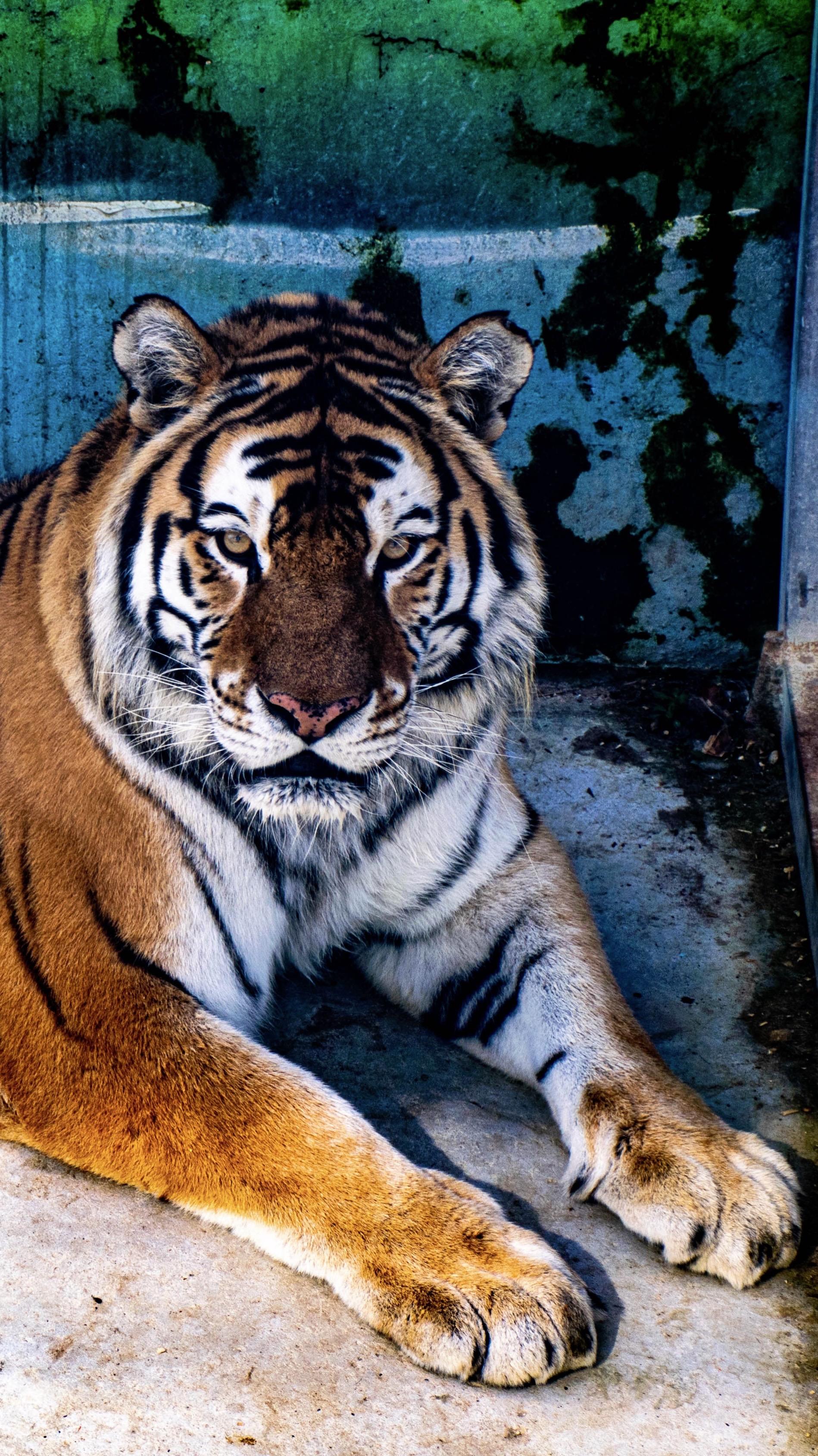 我的摄影日记。