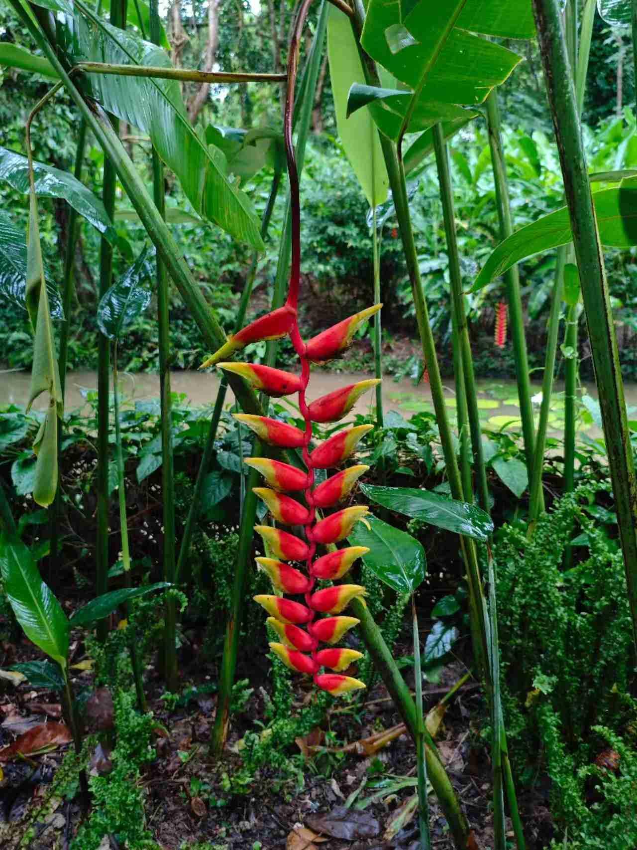 我今年六十二岁，生活在一个18线的小县城。

我60岁退休，算上3月份，退休两年