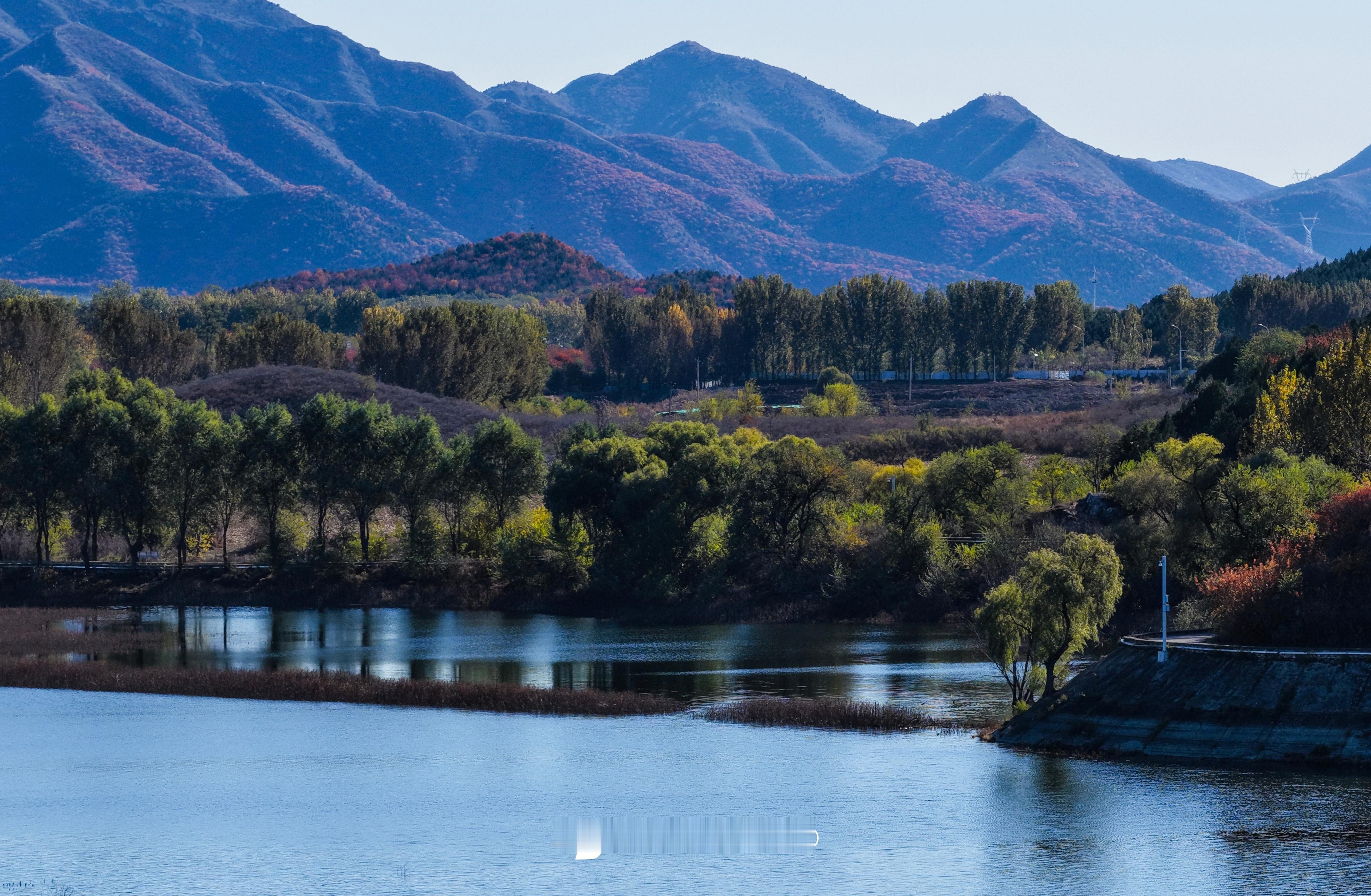 北京的秋天只有几小时🍁  ​​​