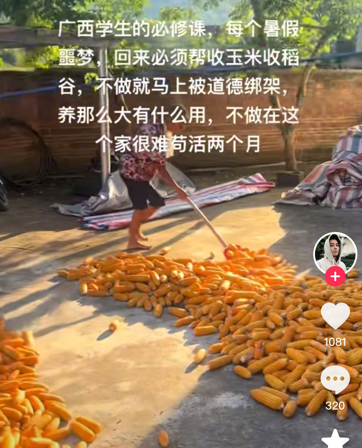 广西人接下来：拔花生，插秧，种苦瓜，掰甘蔗叶，拨杨麻…… ​​​
