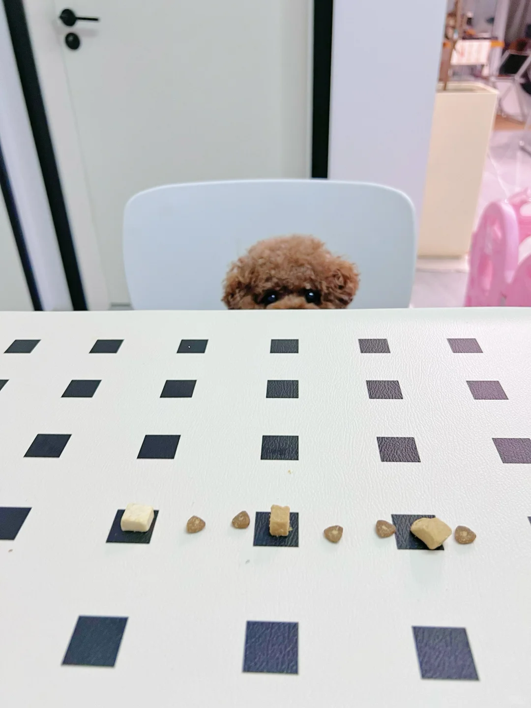 谁懂这种排队吃饭的萌点！！！