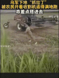 乌克兰兵荒，四处抓壮丁，看到农户独自在地里干活，迫不及待的就去了。
正在干活的农
