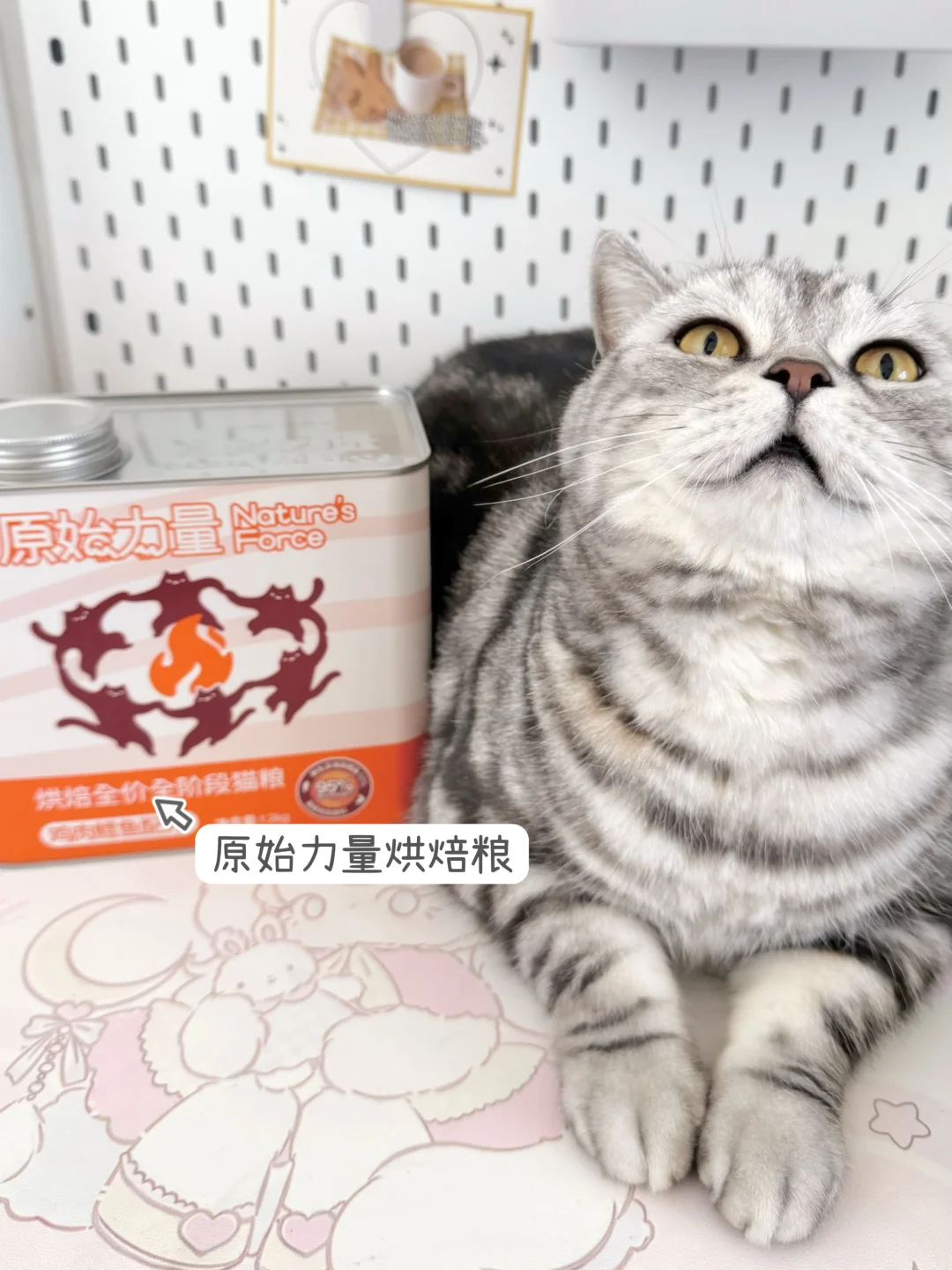 换毛季的🐱：蒲公英血脉觉醒！