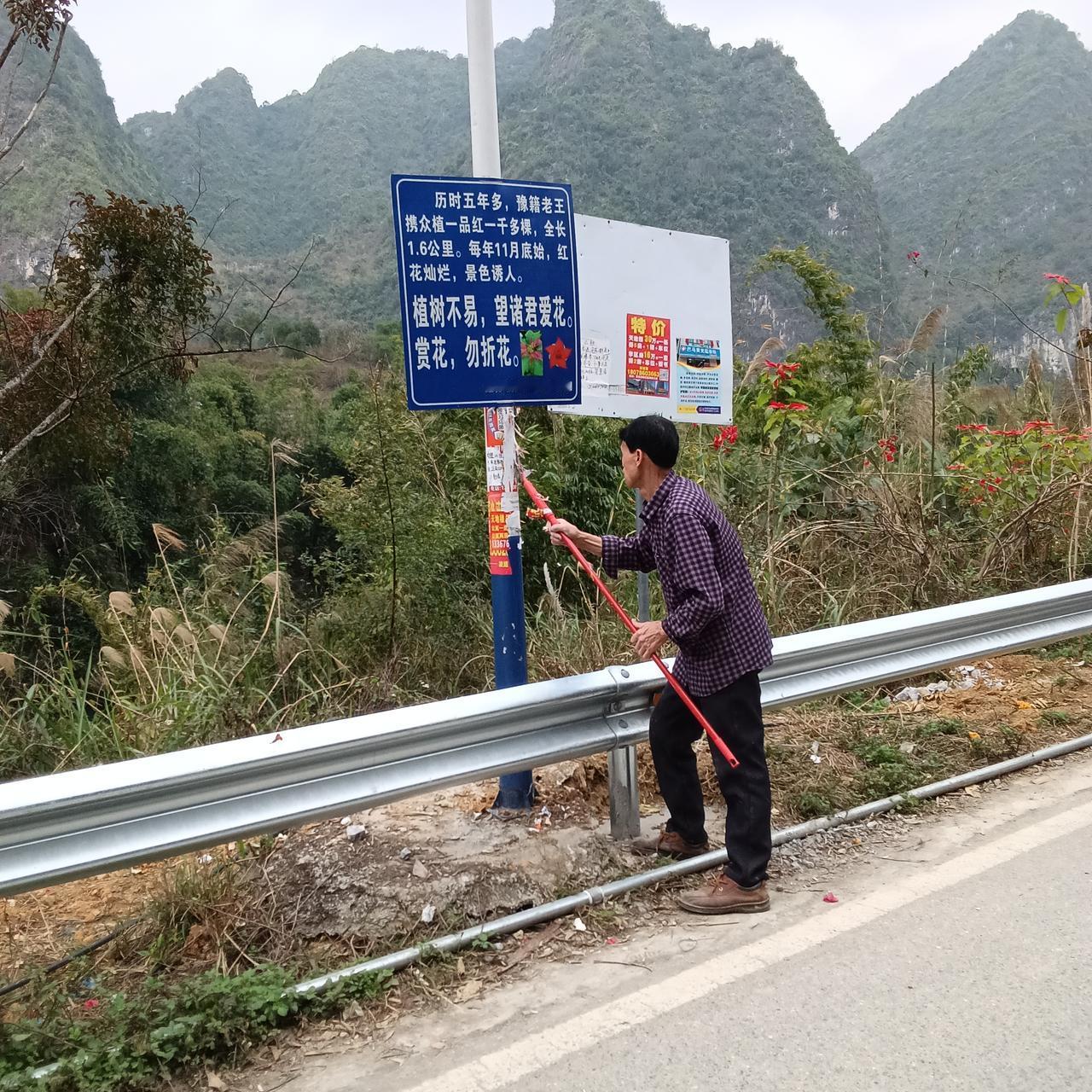 城市膏药在巴马是如何被处理的？

我来到广西巴马已经80多天了，第一次在街上看到