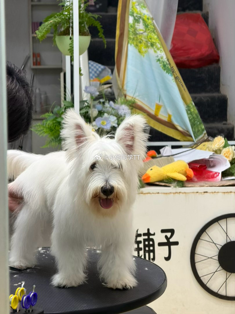 这是谁？ 