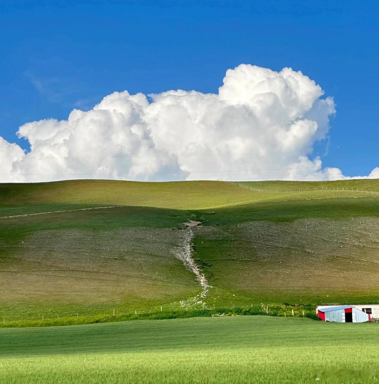 玩加早安 大家最近在看什么电视剧呢？2026lck2026lpl