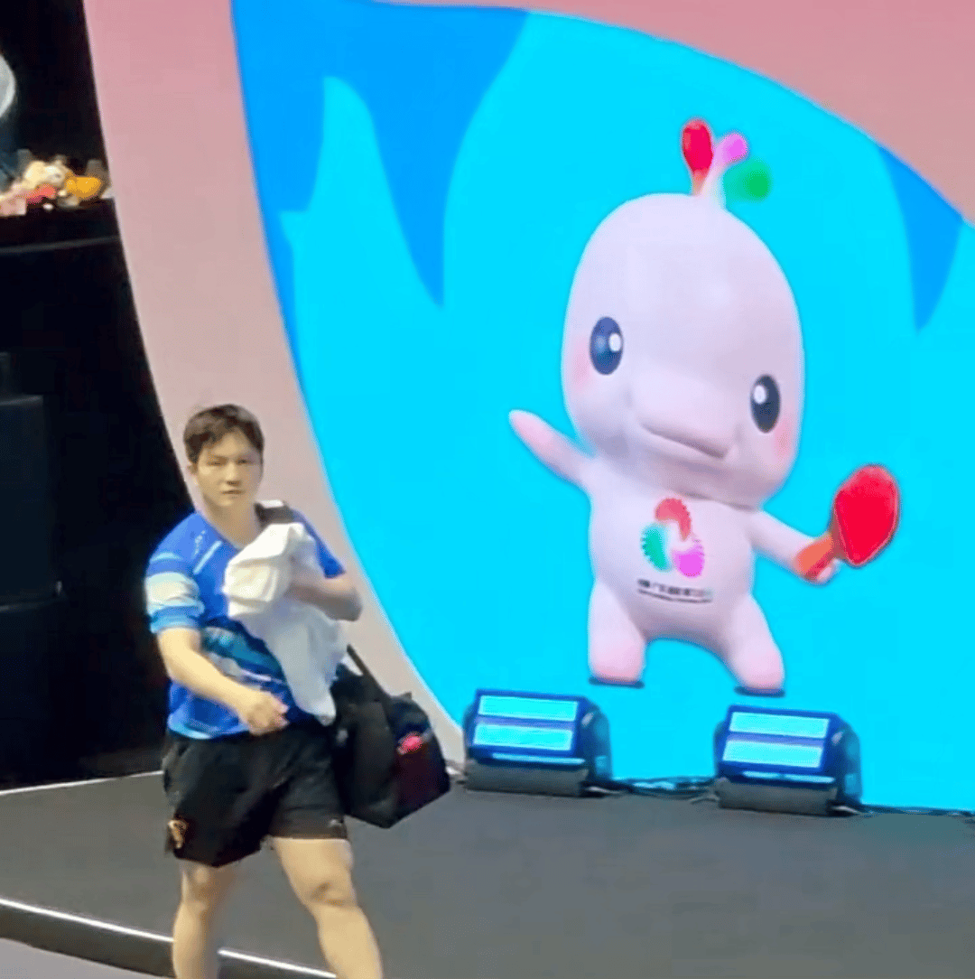 FZD樊振东和大湾鸡 真的太像了 