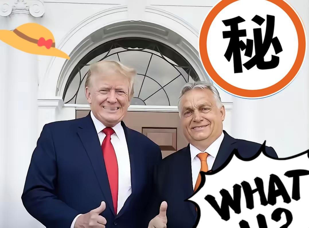 就在刚刚！
特朗普宣布关键决定：
每年几百亿援乌停止，拜登政策被彻底推翻？
 