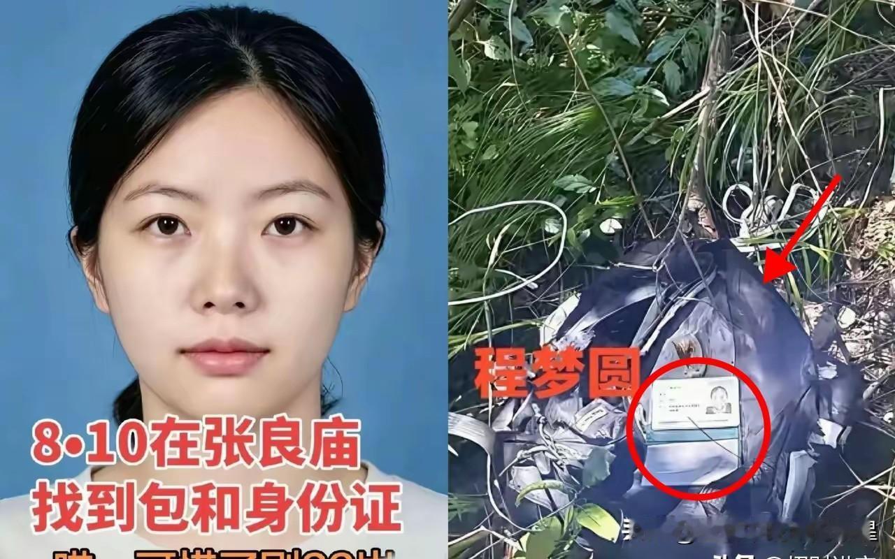 上百人搜了14天，账先算完了。官方的人力、油费、装备损耗，加上无人机和搜救犬，2
