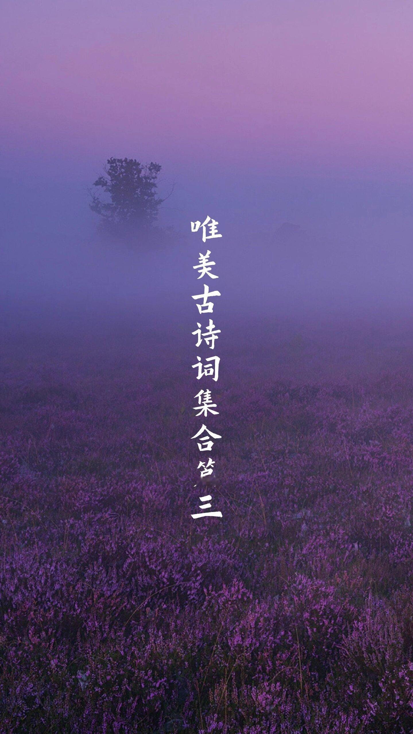 举杯邀明月 对影成三人 ​​​