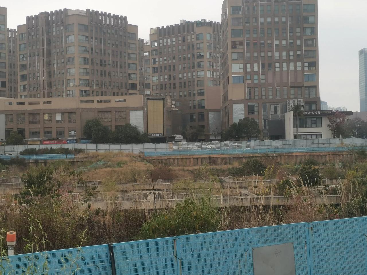 这个位于广福路与滇池路交叉口的中央金座二期。
至今烂尾多年没有人接盘，地铁口，西