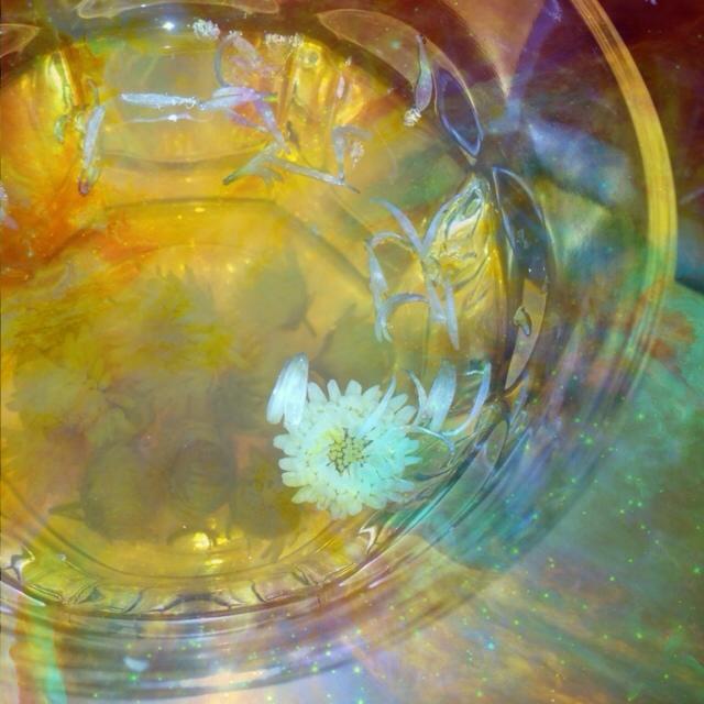 花与水的琉璃梦。