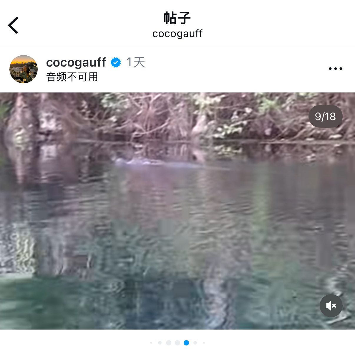 昨天在佛罗里达野外水域拍到鳄鱼的高芙，今天抵达蒙特利尔开始备战[老师好]热点现场