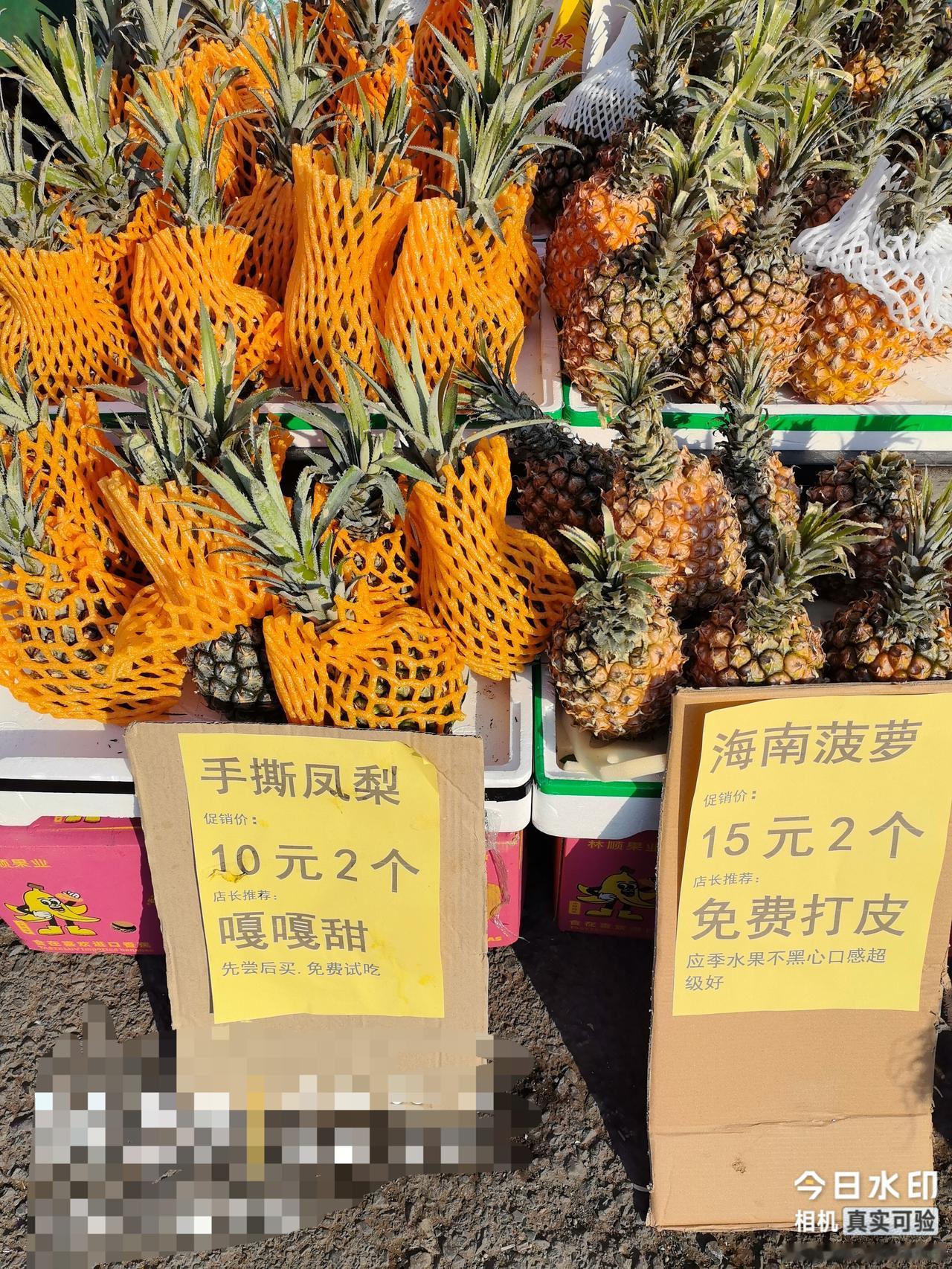 我想问一下南方的朋友，凤梨与菠萝到底有什么区别？
        我一直生活在北