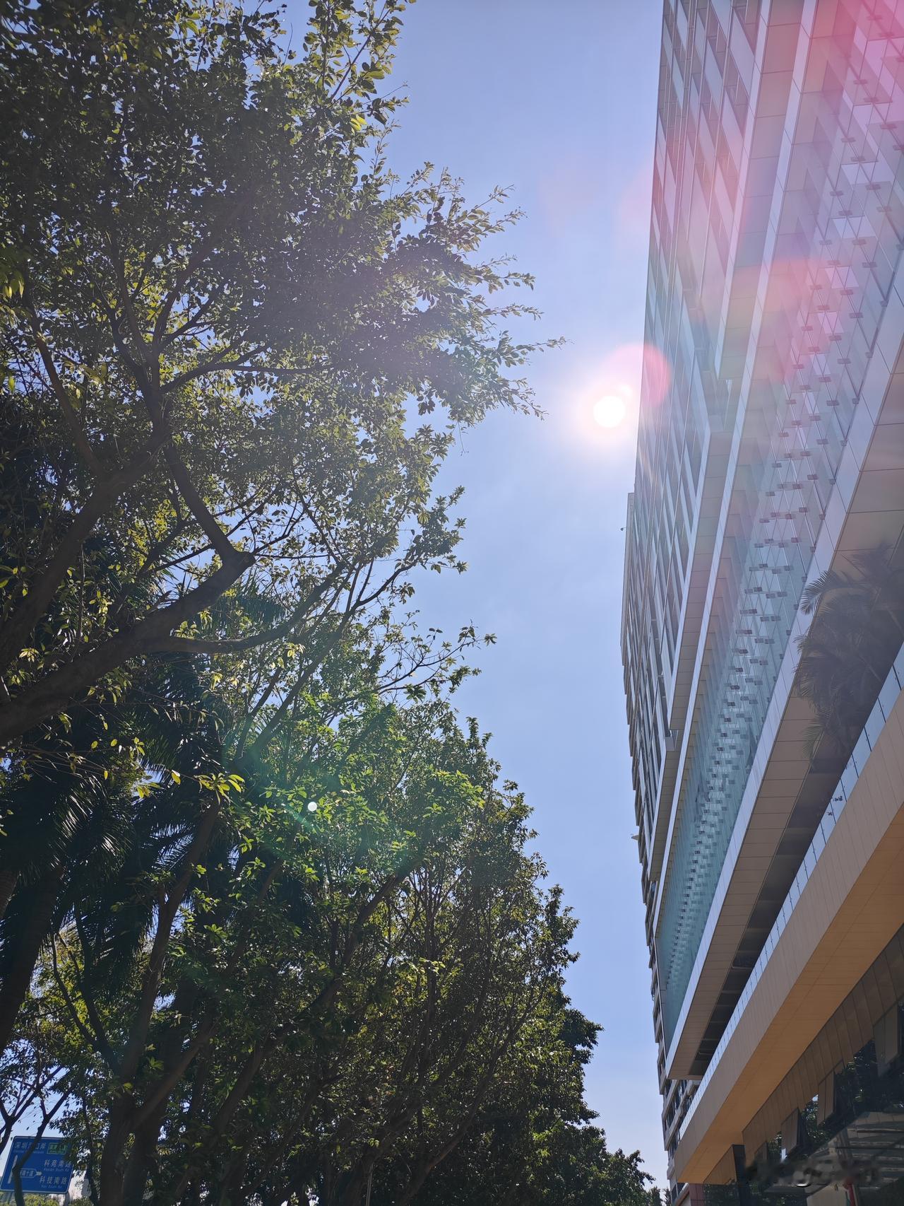 印度太把自己当回事了吧！想吃苹果380亿美元？苹果根本不理印度政府的胡作非为。